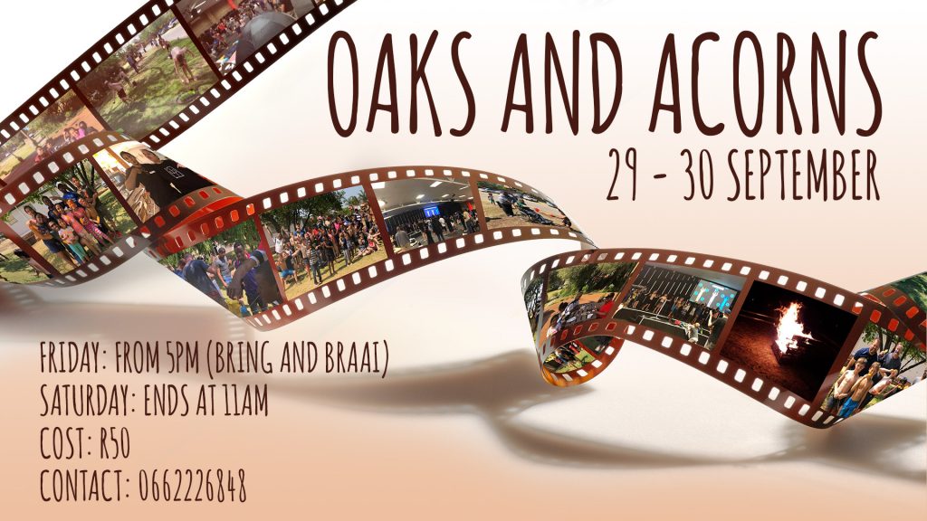 Oaks and acorns HD